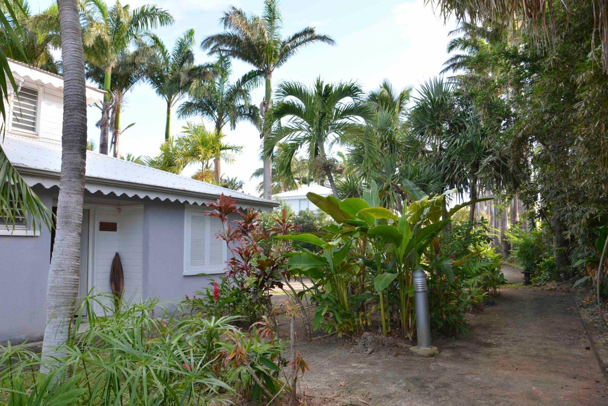 סנט-רוז Villa Van Gogh Aux Aquarelles מראה חיצוני תמונה
